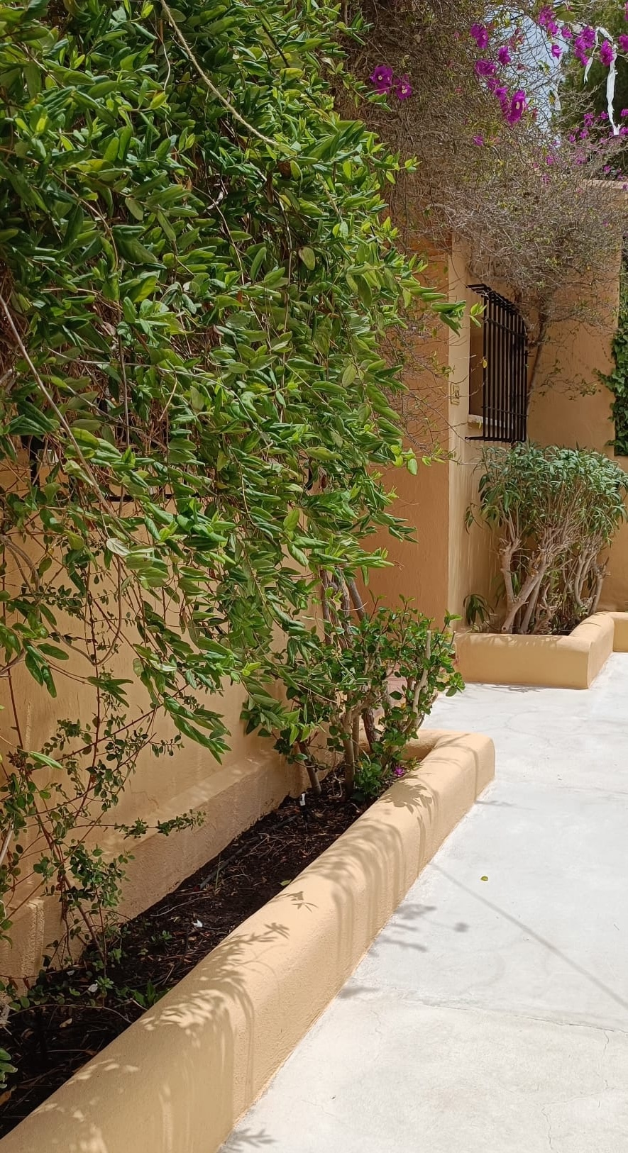 Vistas despejadas desde la terraza del bungalow